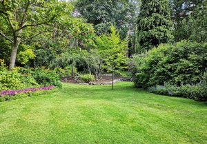 Optimiser l'expérience du jardin à Saint-Hilaire-sur-Risle